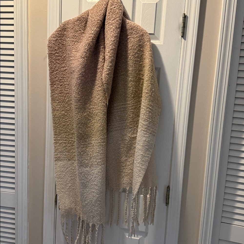 Cozy Multicolor Fringe Scarf